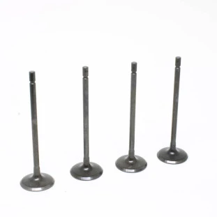 Válvula de Admissão Renault Sandero 2008 a 2014 - Original
