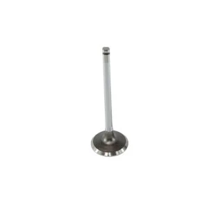 Válvula de Escape Peugeot 307 2002 a 2012 - Metal Leve