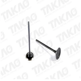Válvula de Escape Hyundai Azera 2008 a 2012 - Takao