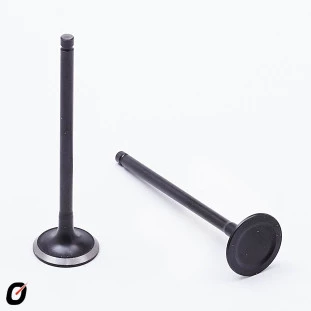 Válvula de Escape Kia Picanto 2006 a 2012 - Takao