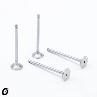 Válvula de Escape Citroen C3 2003 a 2013 - Takao