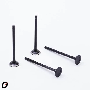 Válvula de Escape Peugeot 206 2001 a 2010 - Takao