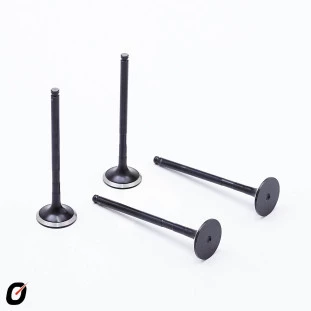 Válvula de Escape Citroen C5 2001 a 2012 - Takao
