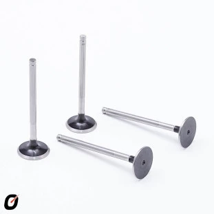 Válvula de Escape Renault Sandero 2008 a 2012 - Takao