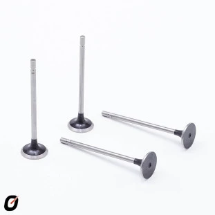 Válvula de Escape Renault Megane 2001 a 2009 - Takao