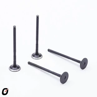 Válvula de Escape Toyota Hilux 2005 a 2011 - Takao